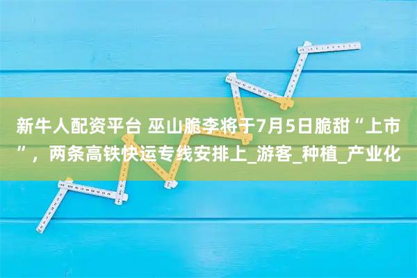 新牛人配资平台 巫山脆李将于7月5日脆甜“上市”，两条高铁快运专线安排上_游客_种植_产业化