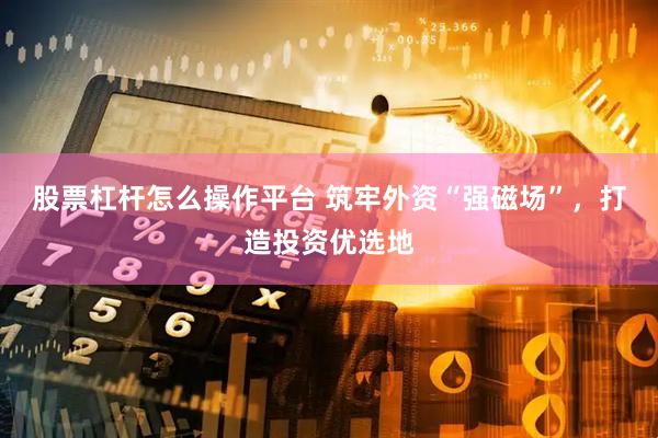 股票杠杆怎么操作平台 筑牢外资“强磁场”,打造投资优选地