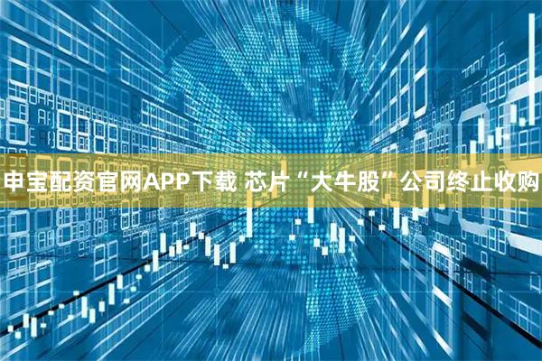 申宝配资官网APP下载 芯片“大牛股”公司终止收购