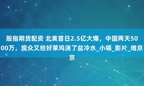 股指期货配资 北美首日2.5亿大爆，中国两天5000万，观众又给好莱坞浇了盆冷水_小嗝_影片_维京