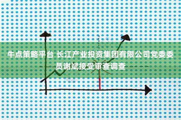 牛点策略平台 长江产业投资集团有限公司党委委员谢斌接受审查调查