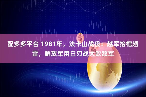 配多多平台 1981年，法卡山战役：越军抬棺趟雷，解放军用白刃战大败敌军